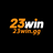 23wingg