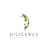 Diligence