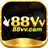 88vvcam