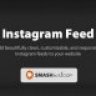 Custom Instagram Feed Pro Developer