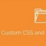 Simple Custom CSS and JS PRO